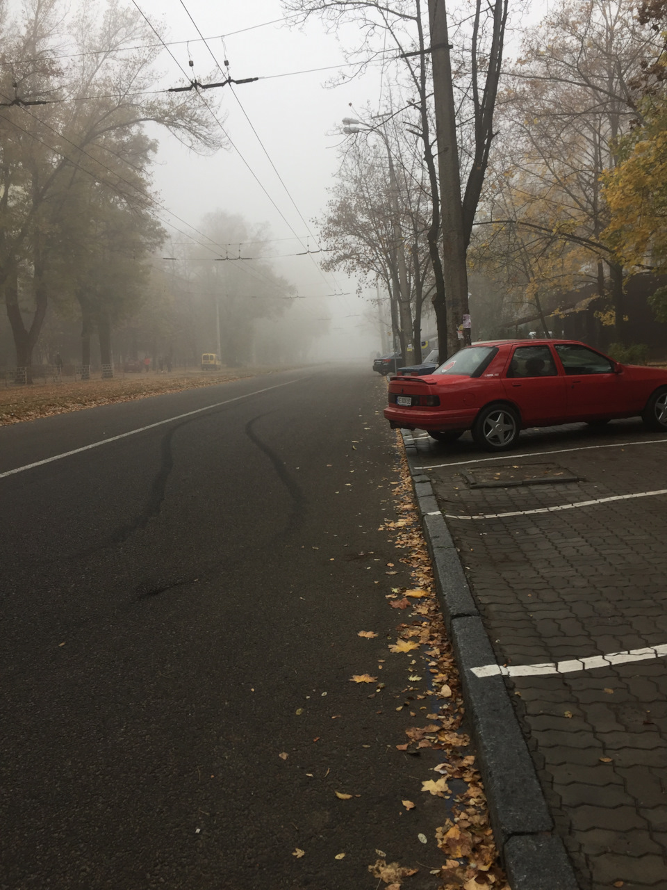 #5 Сайра зібрана, і радує щодня! 4