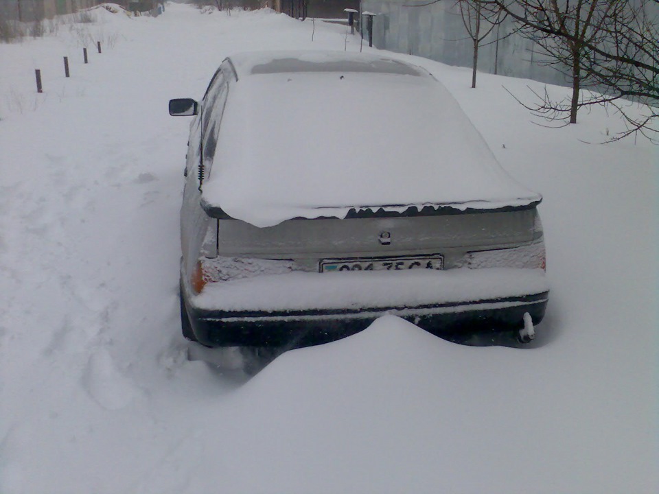 Березень забув, що він весняний. 2