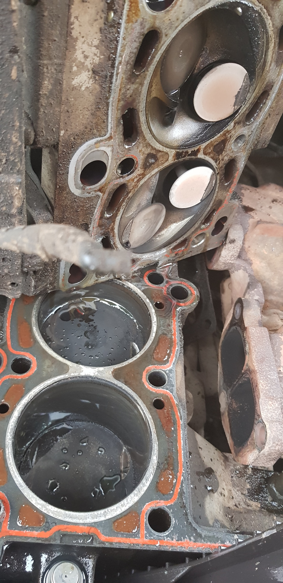 Зірочка  MADE IN CAINA І НАСЛІДКИ . 3