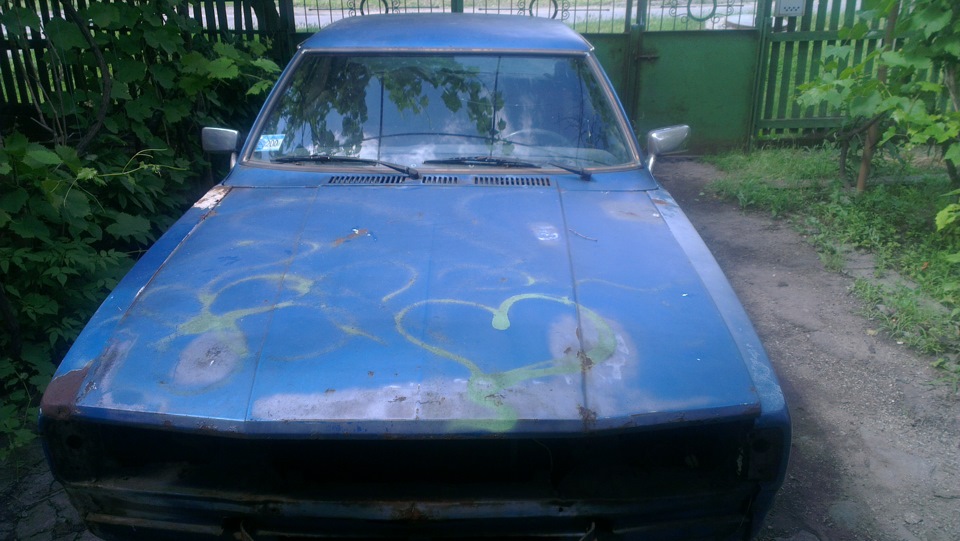морда 2