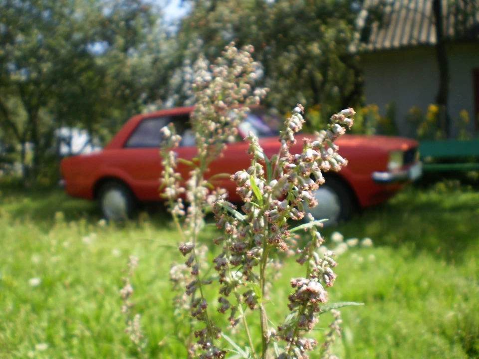 Ford i.