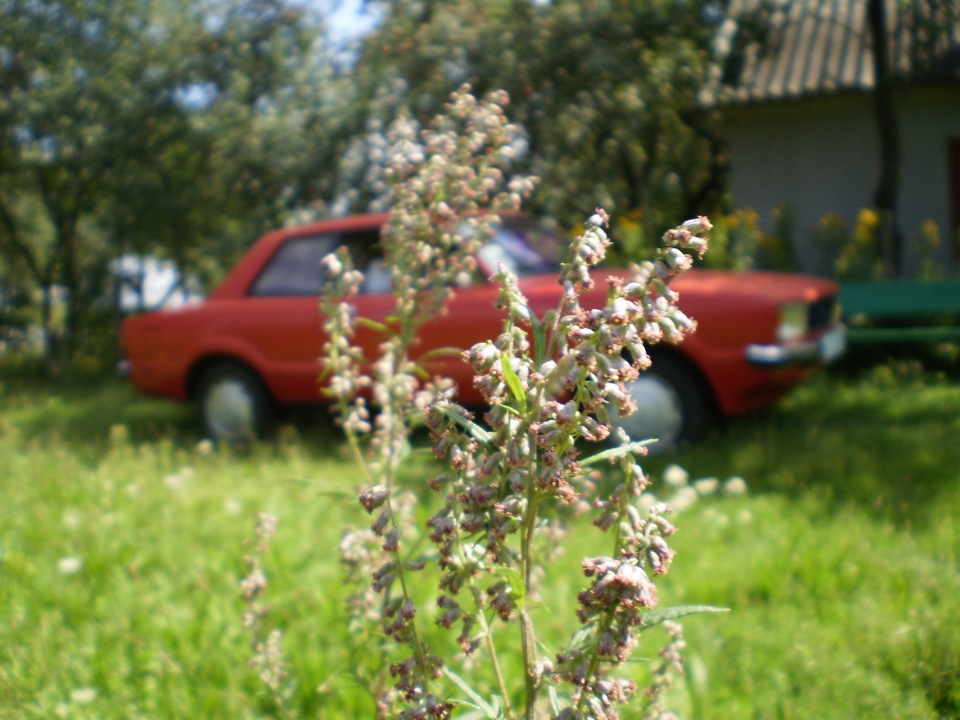 Ford i. 1