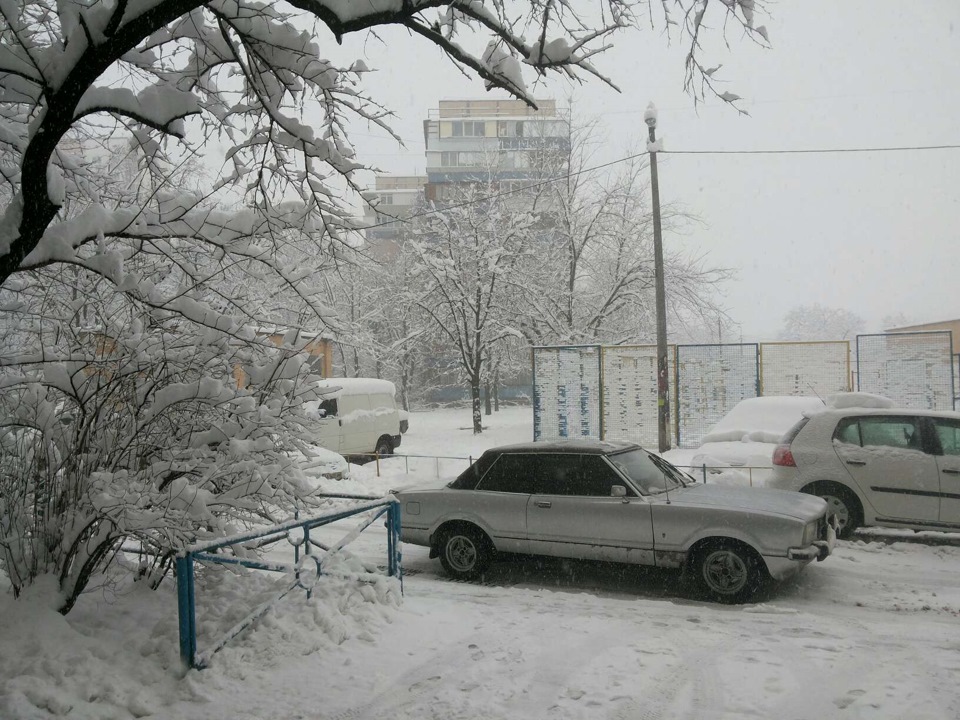 Зимові. 1