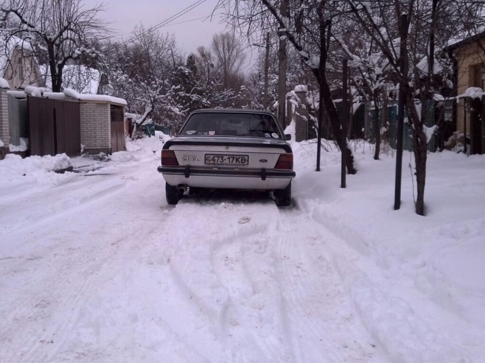 Зимові. 2