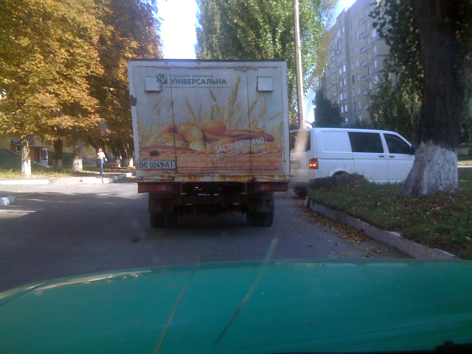 Зведений молодший брат 2