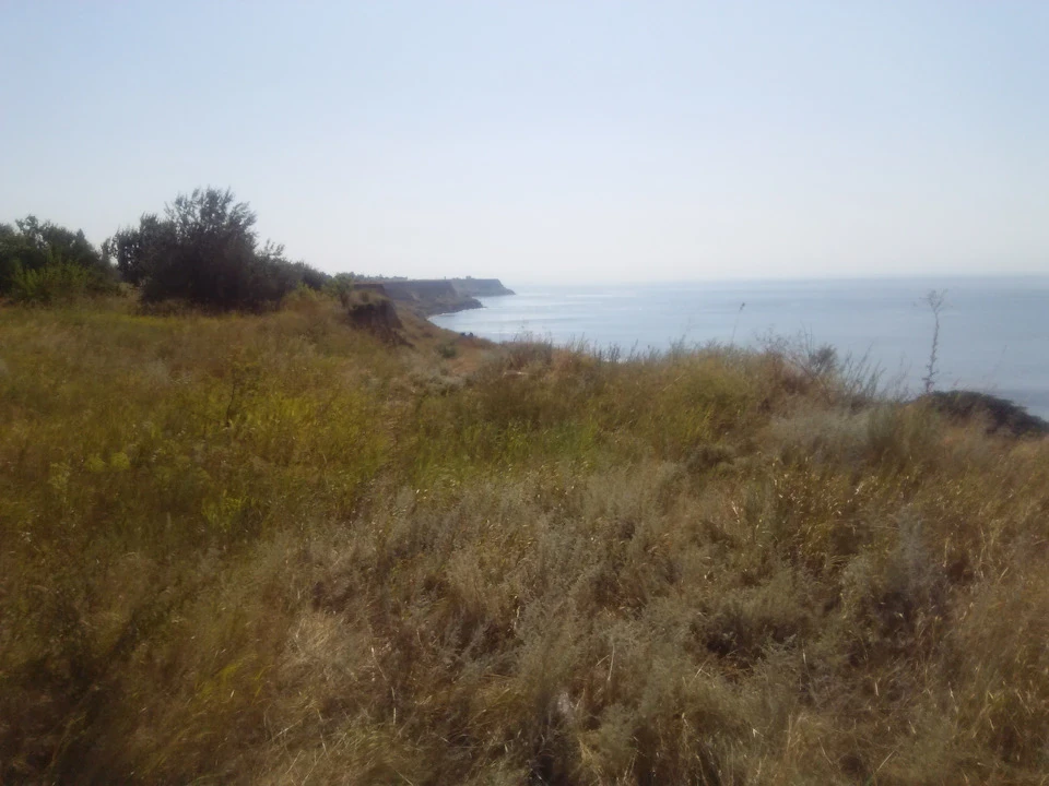 Поїздка до Одеси
