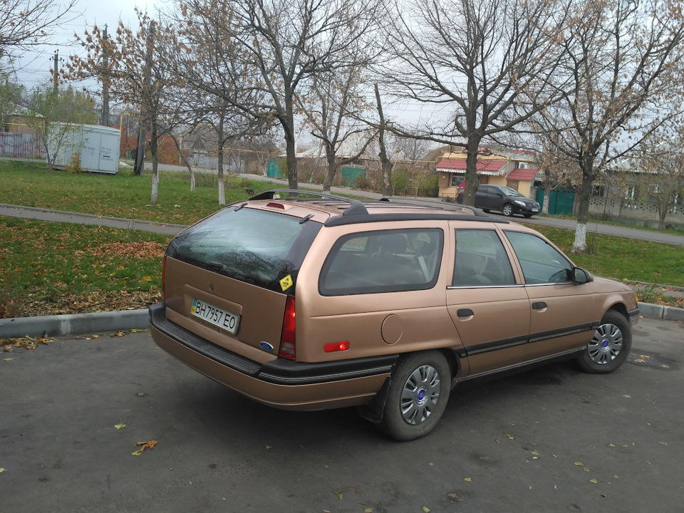 Просто осінній Тарас. 5
