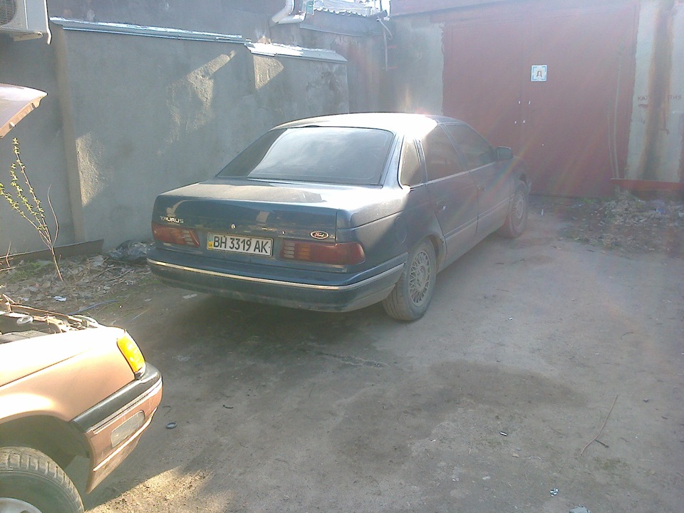 Стадо))) 3