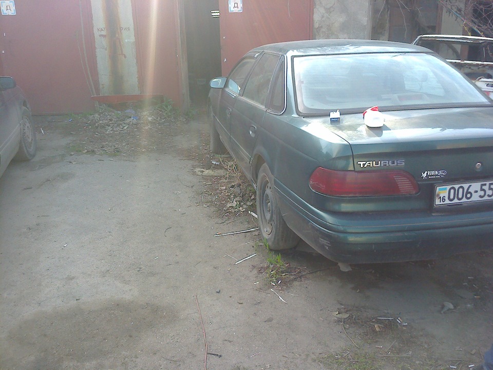 Стадо))) 4