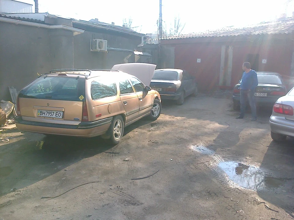 Стадо)))
