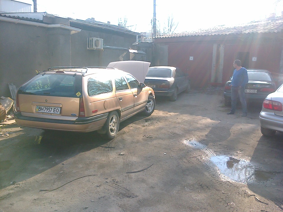 Стадо))) 1