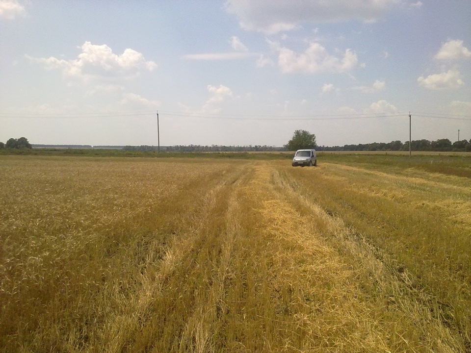 Збираємо врожай 4