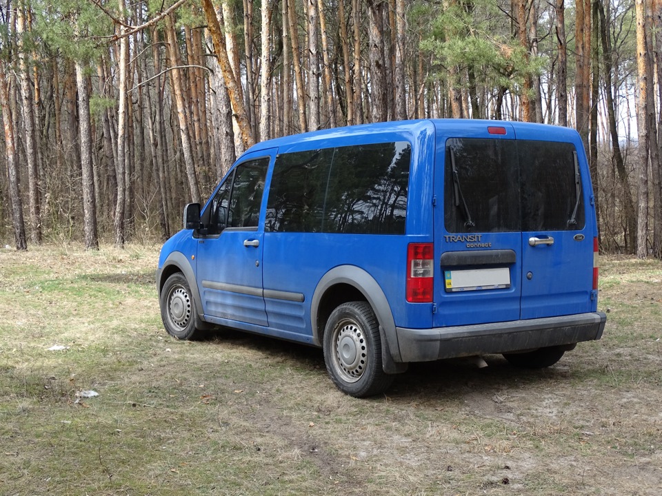 Прогулянка в лісі 2
