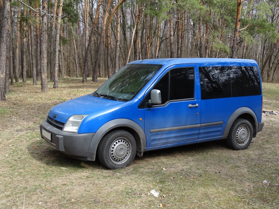 Прогулянка в лісі 3
