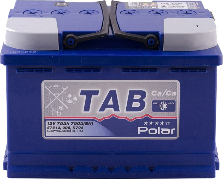Відлуння поломки реле регулятора. Заміна акумулятора. TAB Polar 75Ah 3