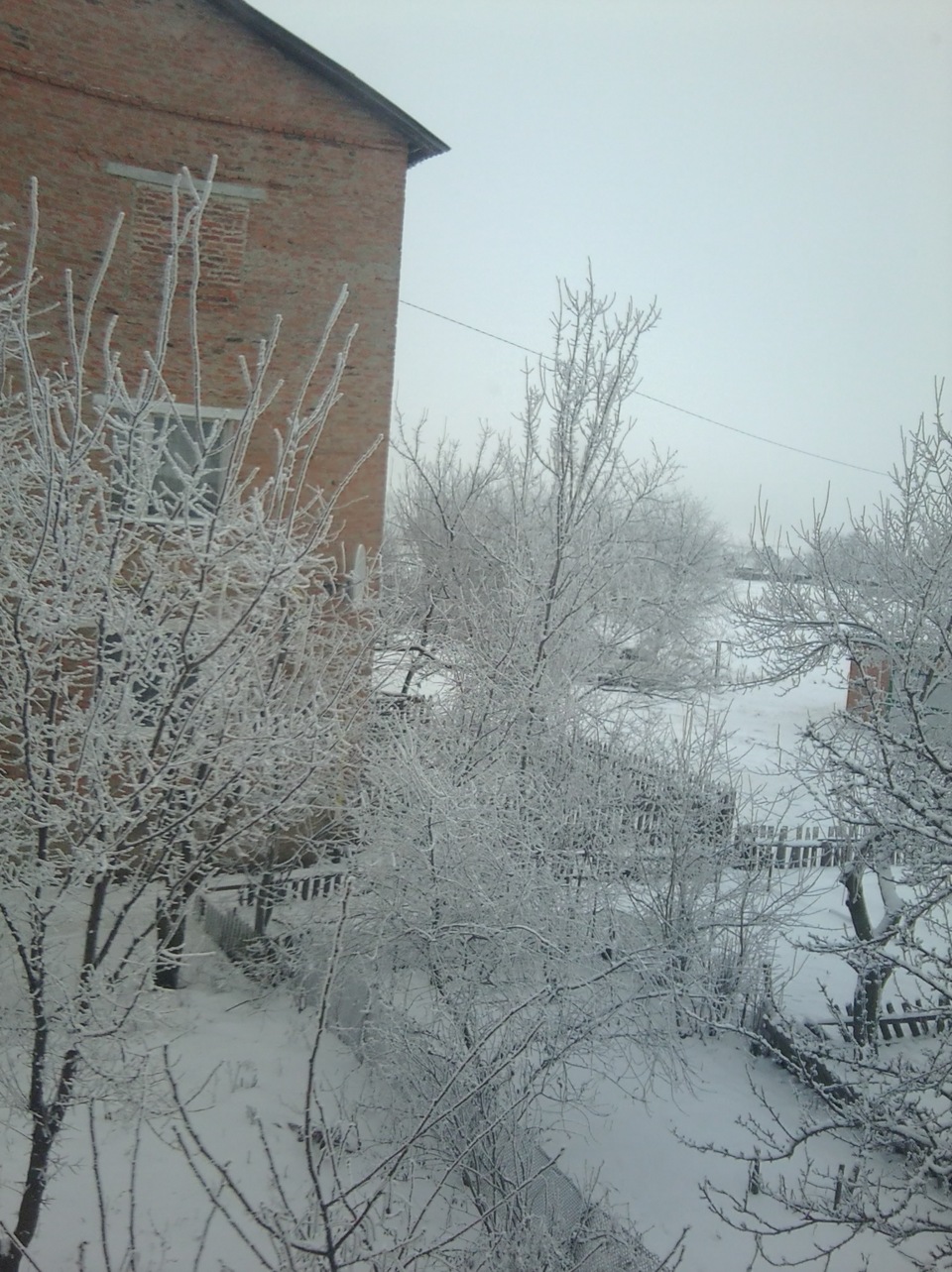 Зимове фото 5