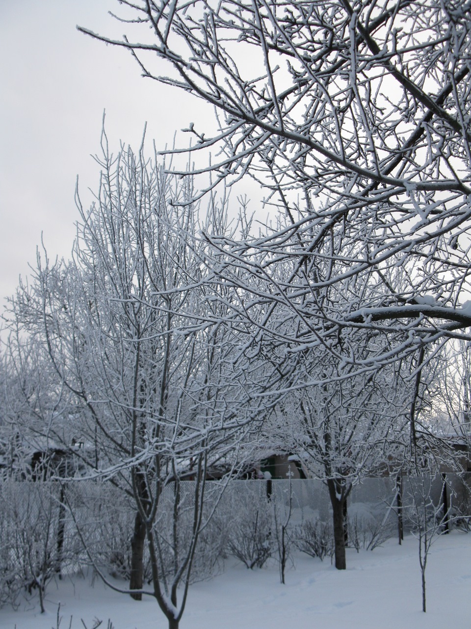 Зима 2010 4