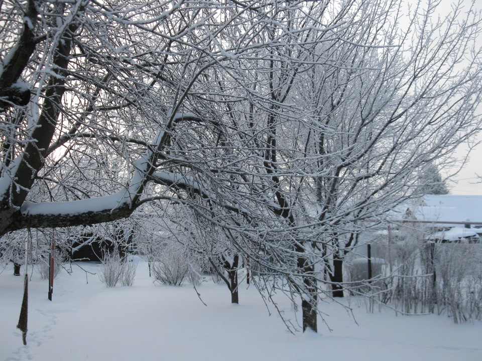 Зима 2010 3