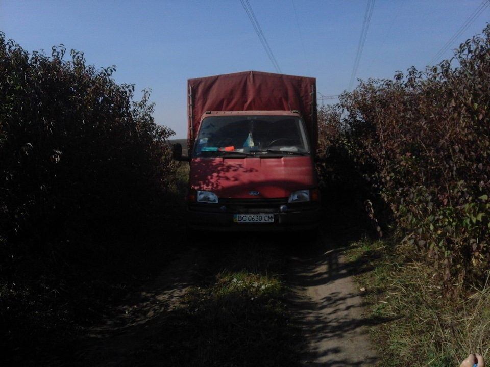 Просто фото з літа 1