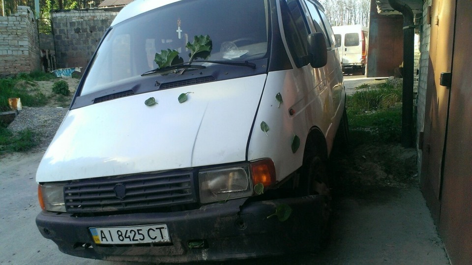 Подорожник трава зцілює 2