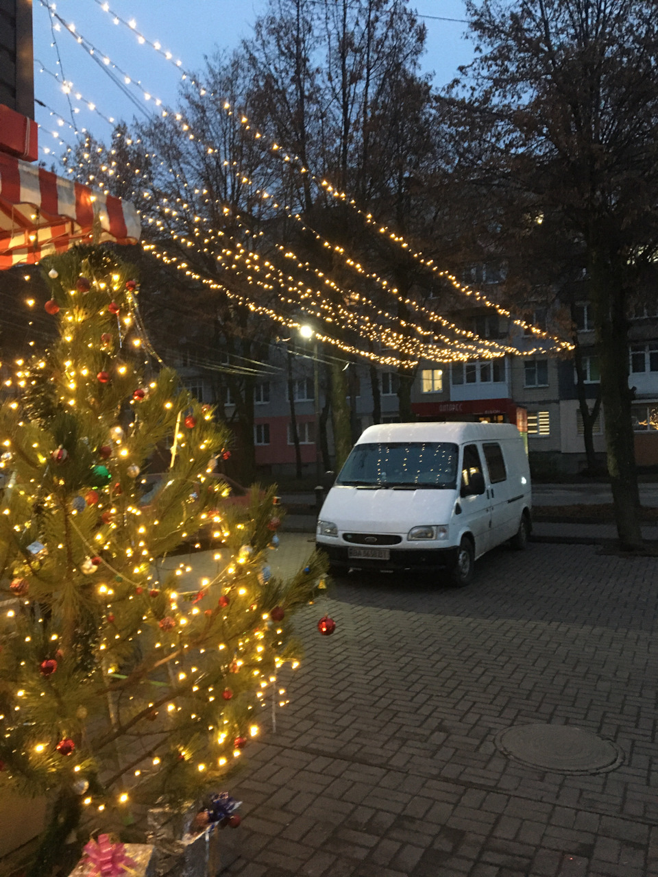 Новорічна фотосесія 1