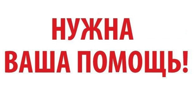 Потрібна допомога! ТНВД Бош сам вирішує 1