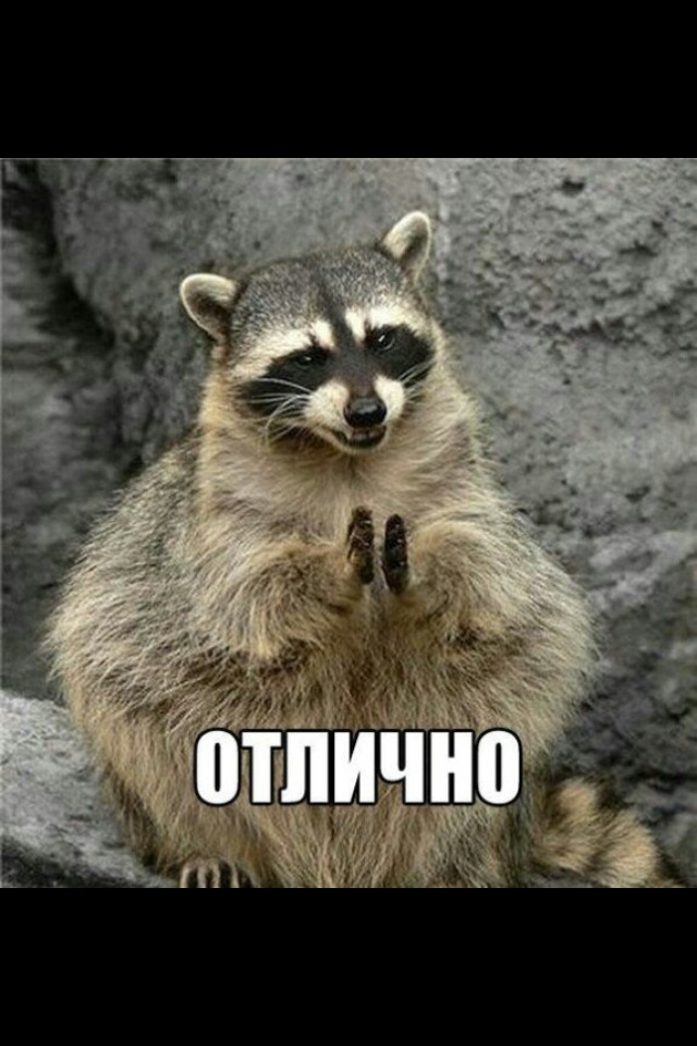 Клас! 1