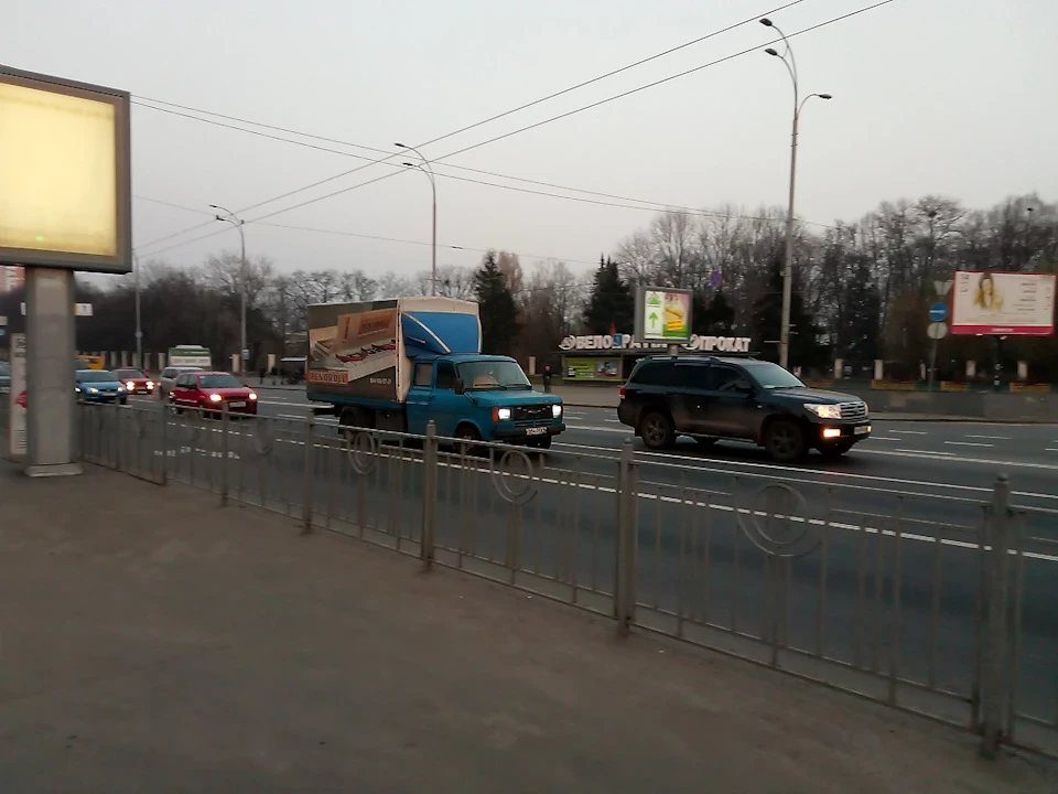 Ще два бегемоти мого міста