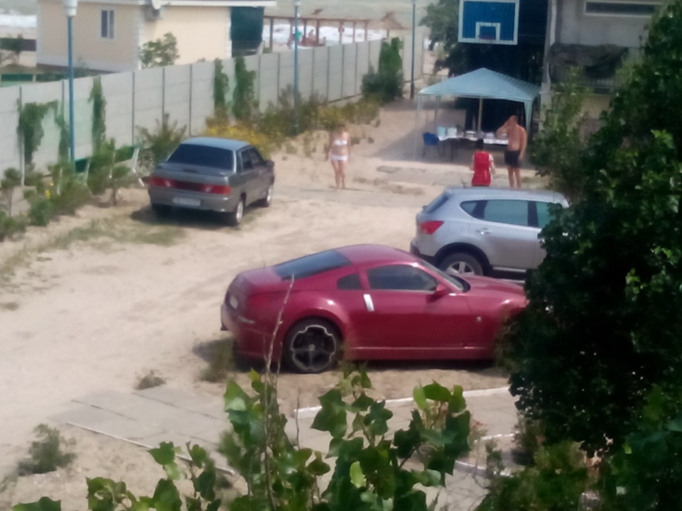 біляш у відпустці 1