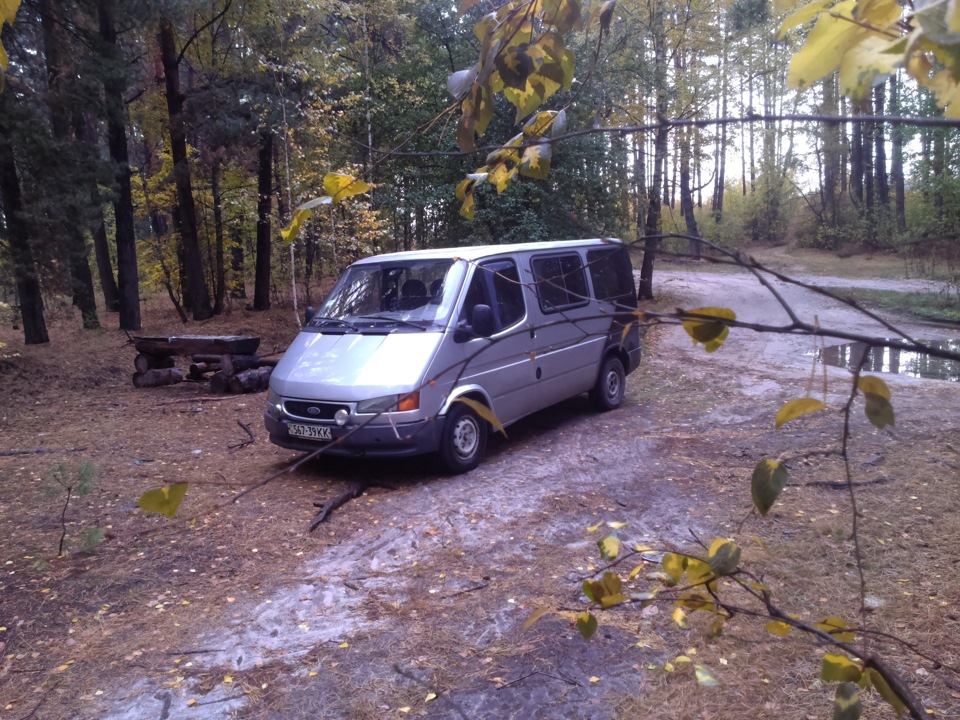 Ліс та річка в день автомобіліста. 4