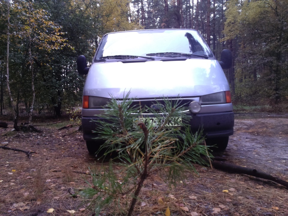 Ліс та річка в день автомобіліста. 3