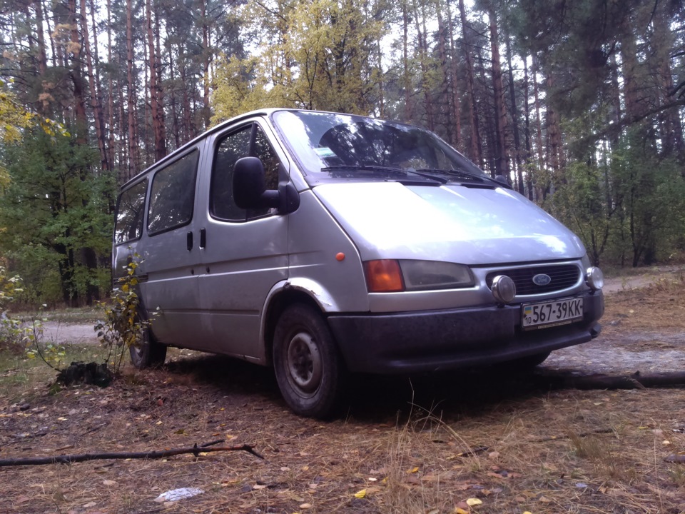 Ліс та річка в день автомобіліста. 2
