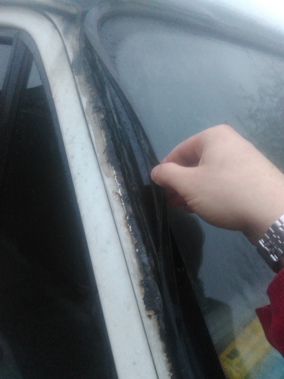 HELP 1