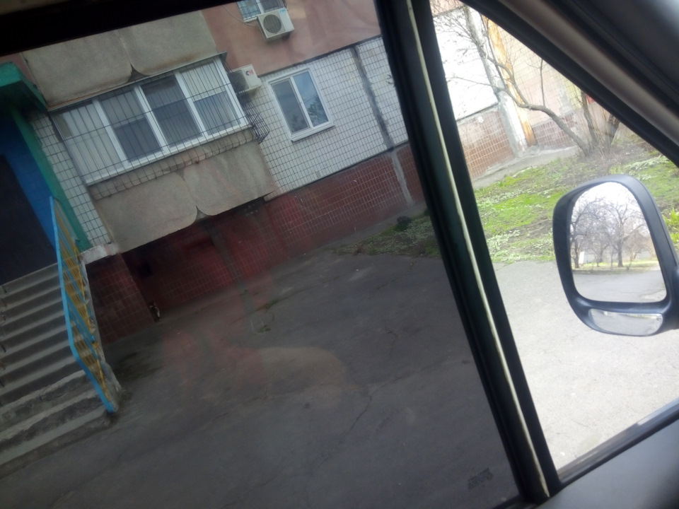 Затонував передні боки. 1