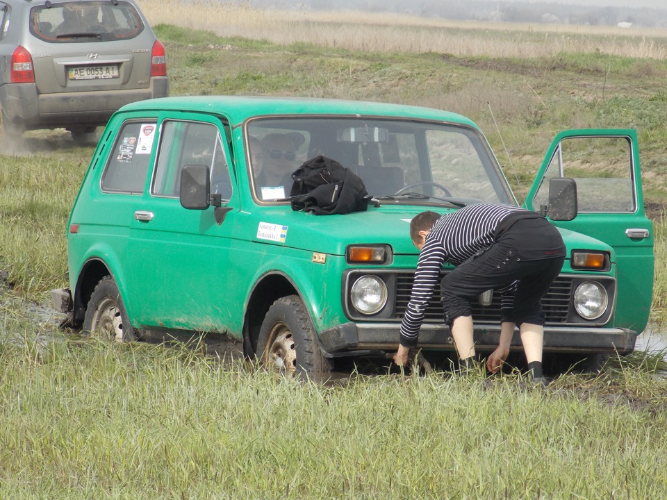 Самарські нетрі 5