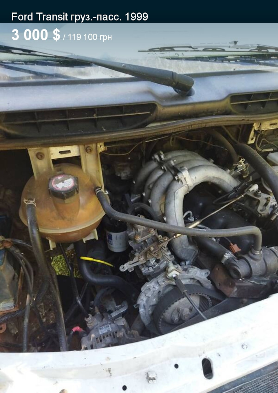 Нелегка ця справа купити крокодила 3