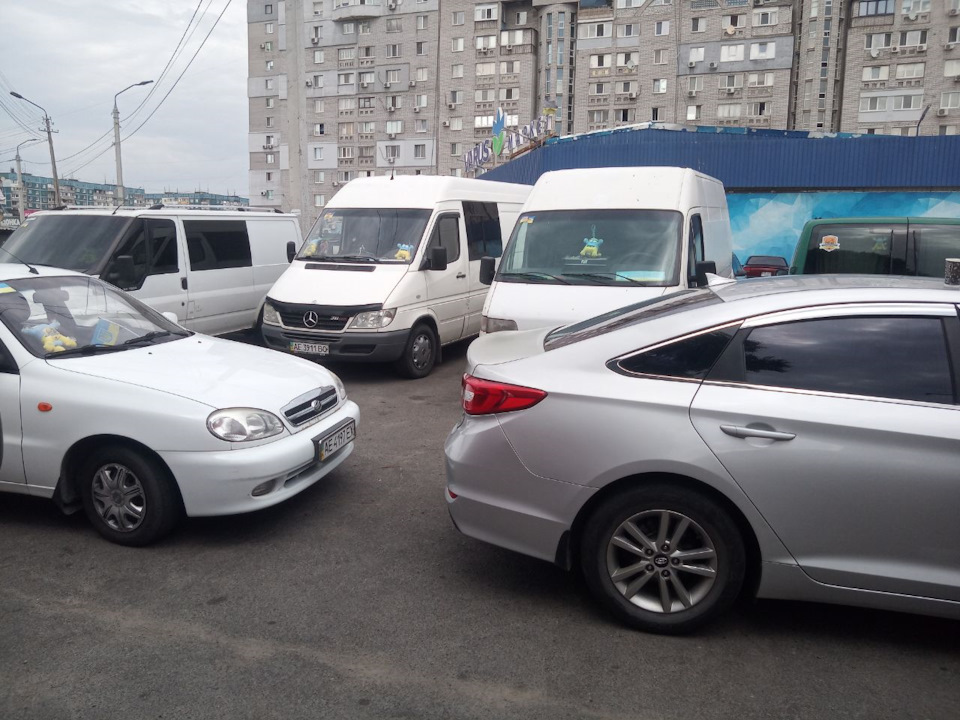 Зустріч Котобанди Дніпра 5