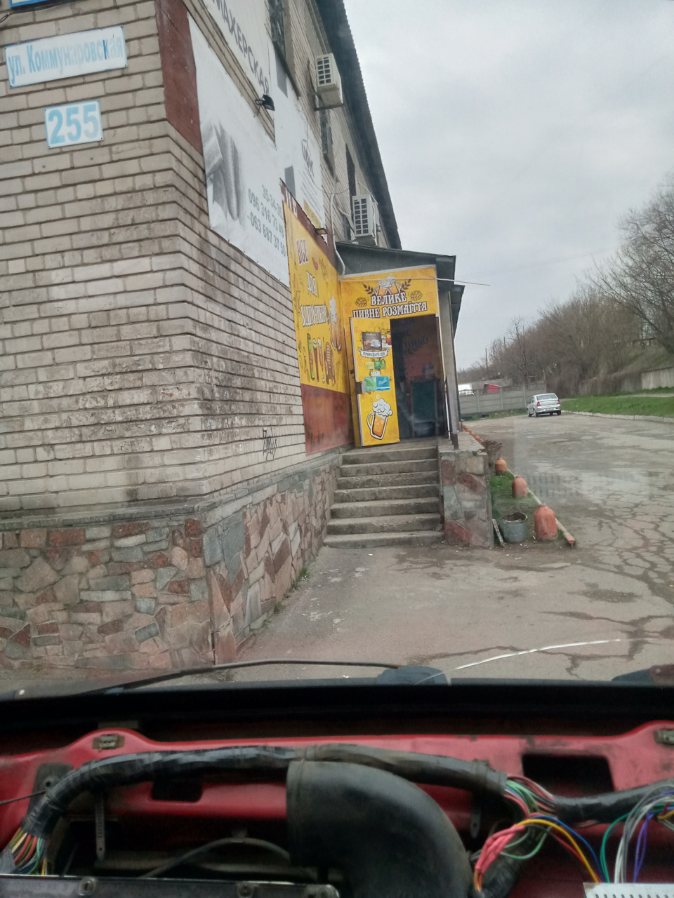 Зустріч котобанди на каві 4