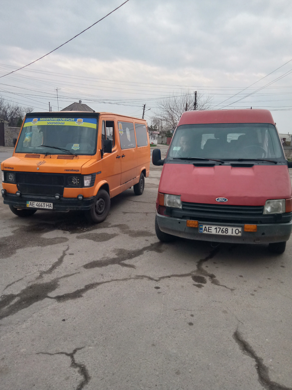 Зустріч котобанди на каві 3