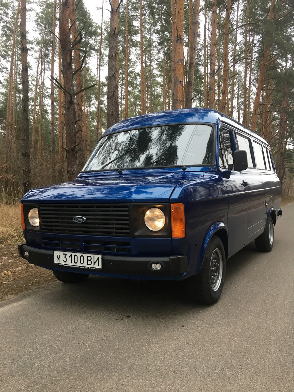 Знайомтеся, SHELBY VAN TRANSIT