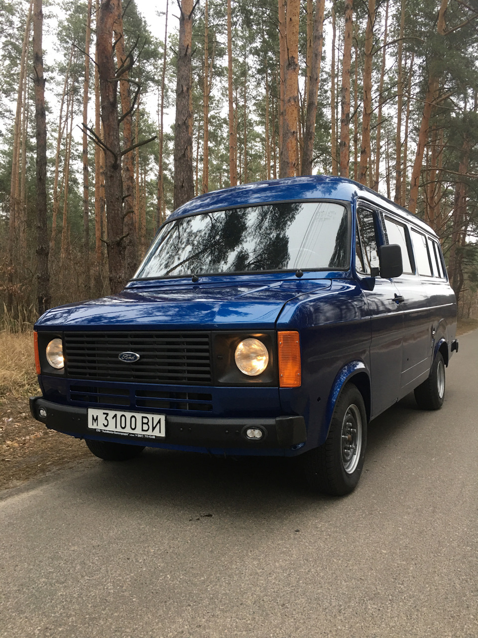 Знайомтеся, SHELBY VAN TRANSIT 1