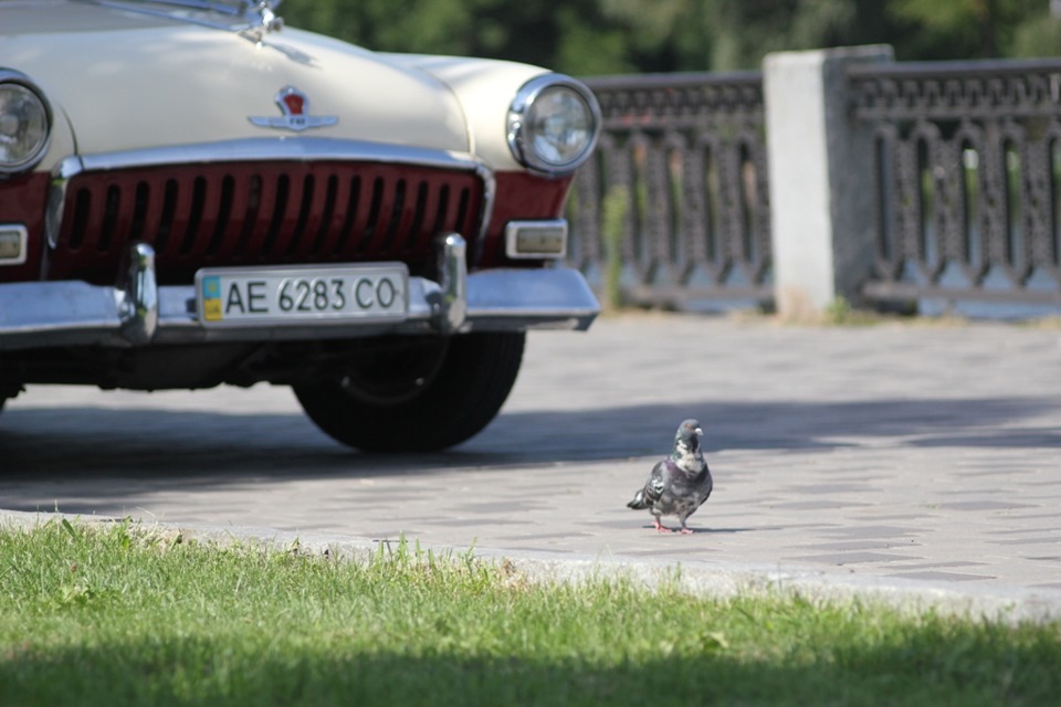 Фотосет 3