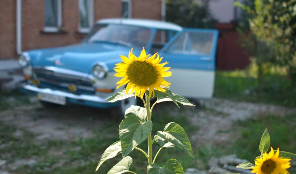 спогади про тепле літо :)