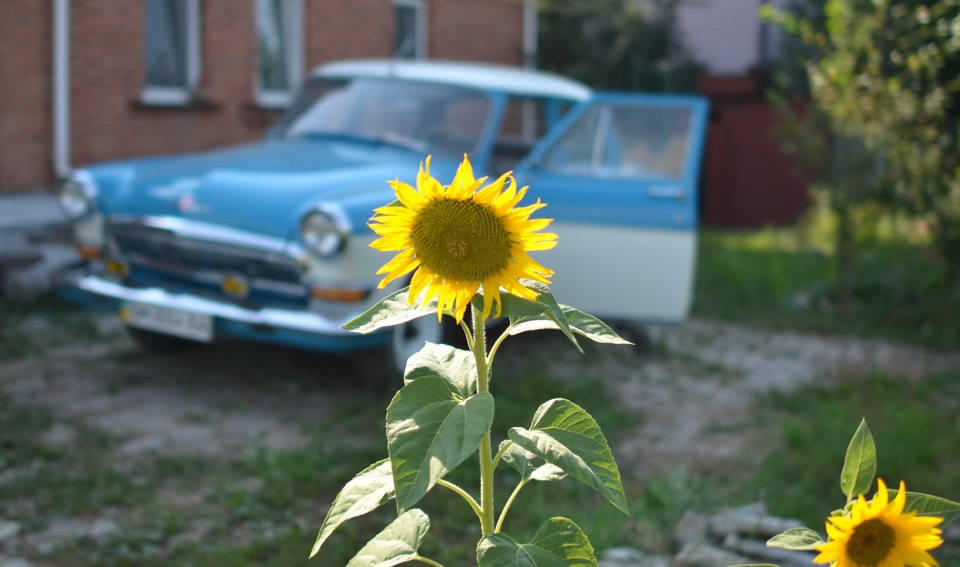 спогади про тепле літо :) 1