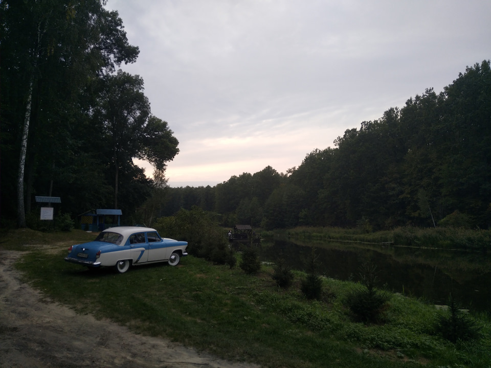 Вигуляв на весільному фотосеті 2