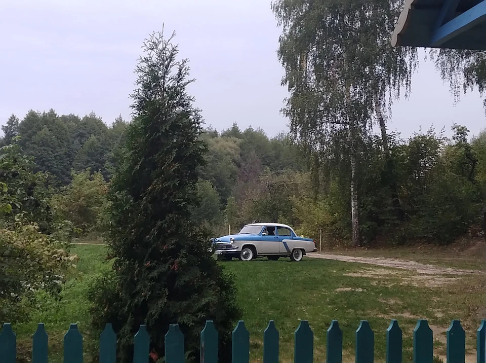 Вигуляв на весільному фотосеті