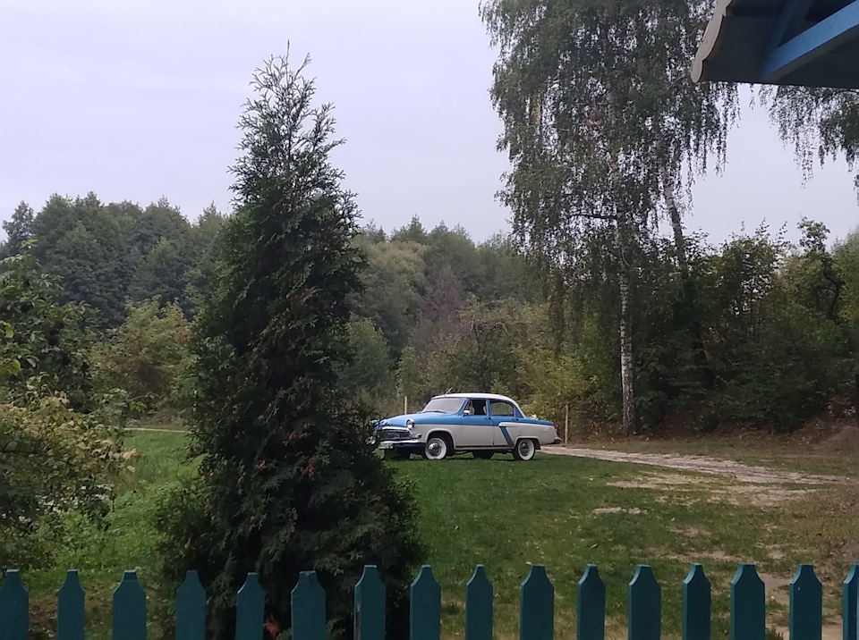 Вигуляв на весільному фотосеті 1
