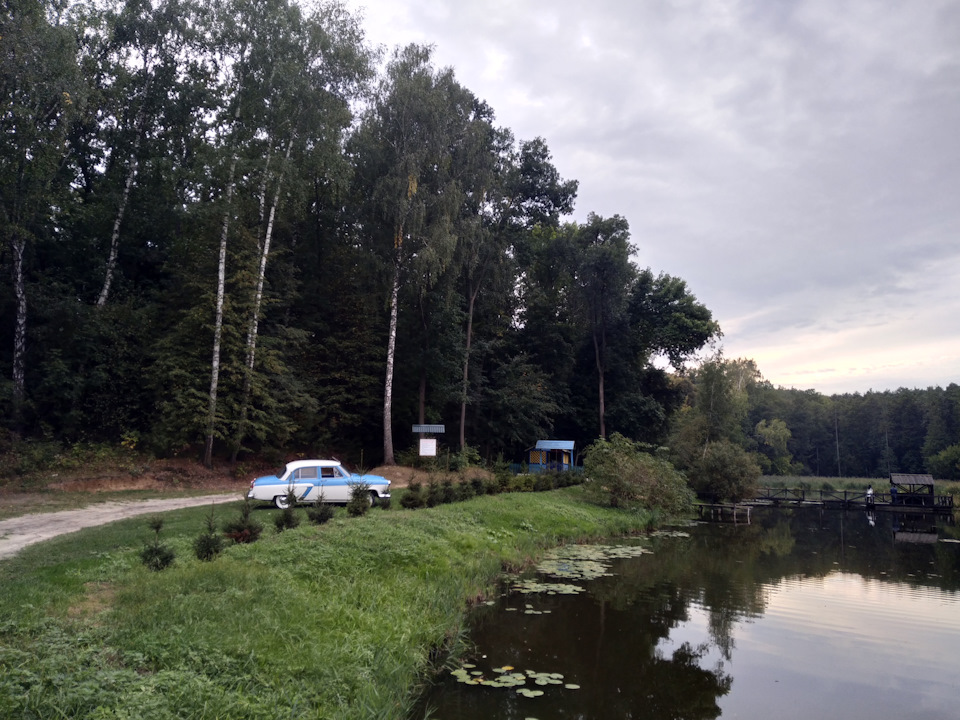 Вигуляв на весільному фотосеті 3