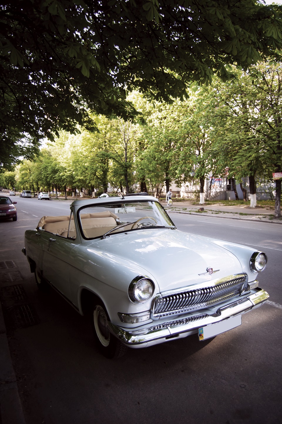 кінець квітня. свіжі фото. 1