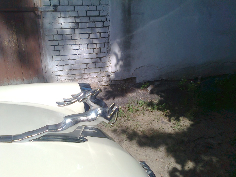 зробив те, що довго відкладав... 5
